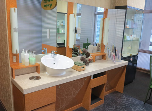 Skin Analysis / Cleansing Area