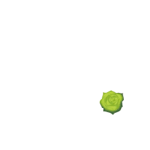 形成外科KC